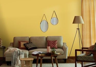 A Monochromatic Wall Color Combination for Hall