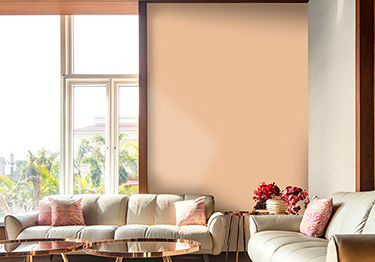 Contemporary Living Room Design with Stylish Hall Colour Combination