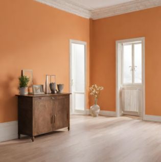 Untitled design - dreamsicle-orange-colour
