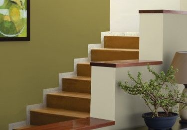 Green Foyer Area Design Idea