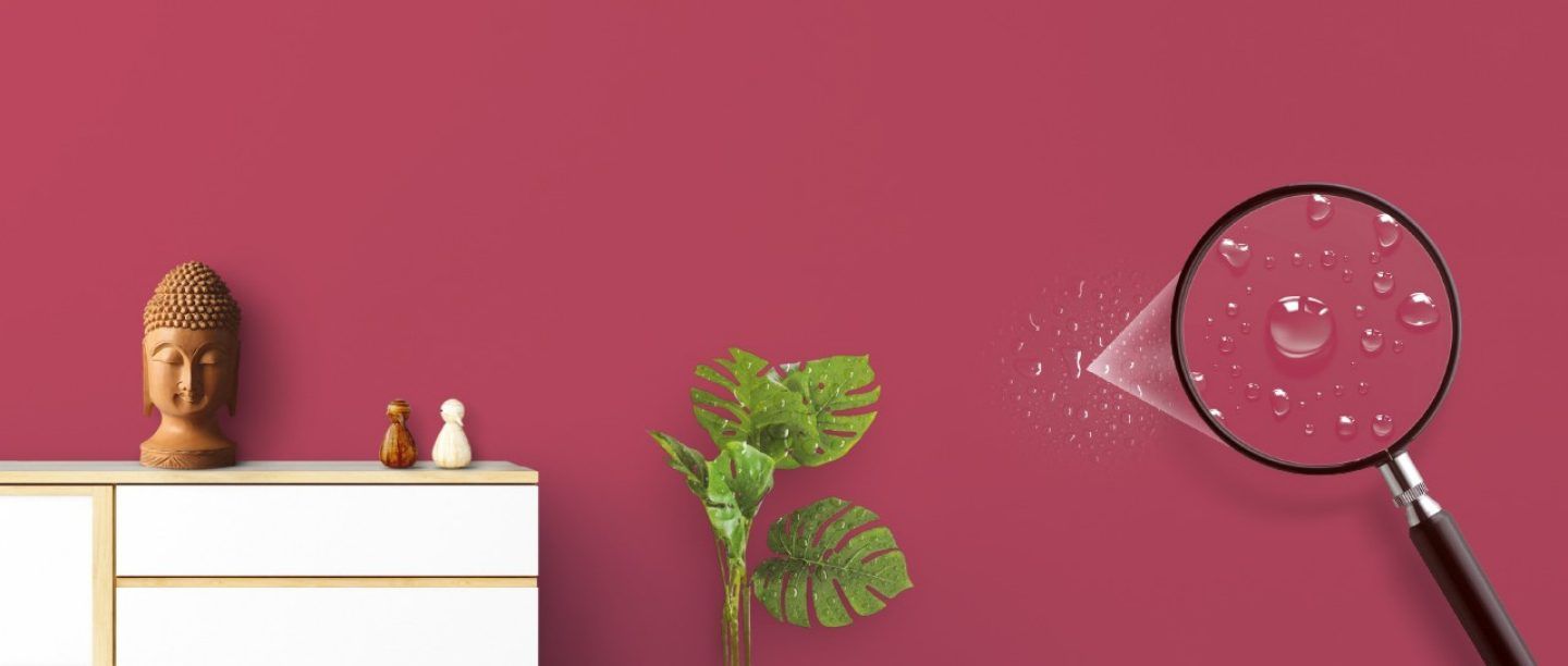 interior-walls-apcolite-all-protek-feature-lotus-effect-asian-paints