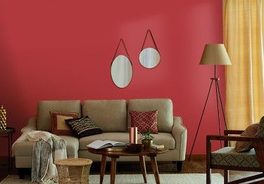 Popular Contrasting Two Colour Combination for Living Room