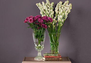 Regal Hall Colour Combinations