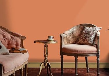 Rich Tones for Living Room Design