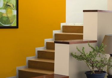 Sombre Hall Stair Design With Color Combinations