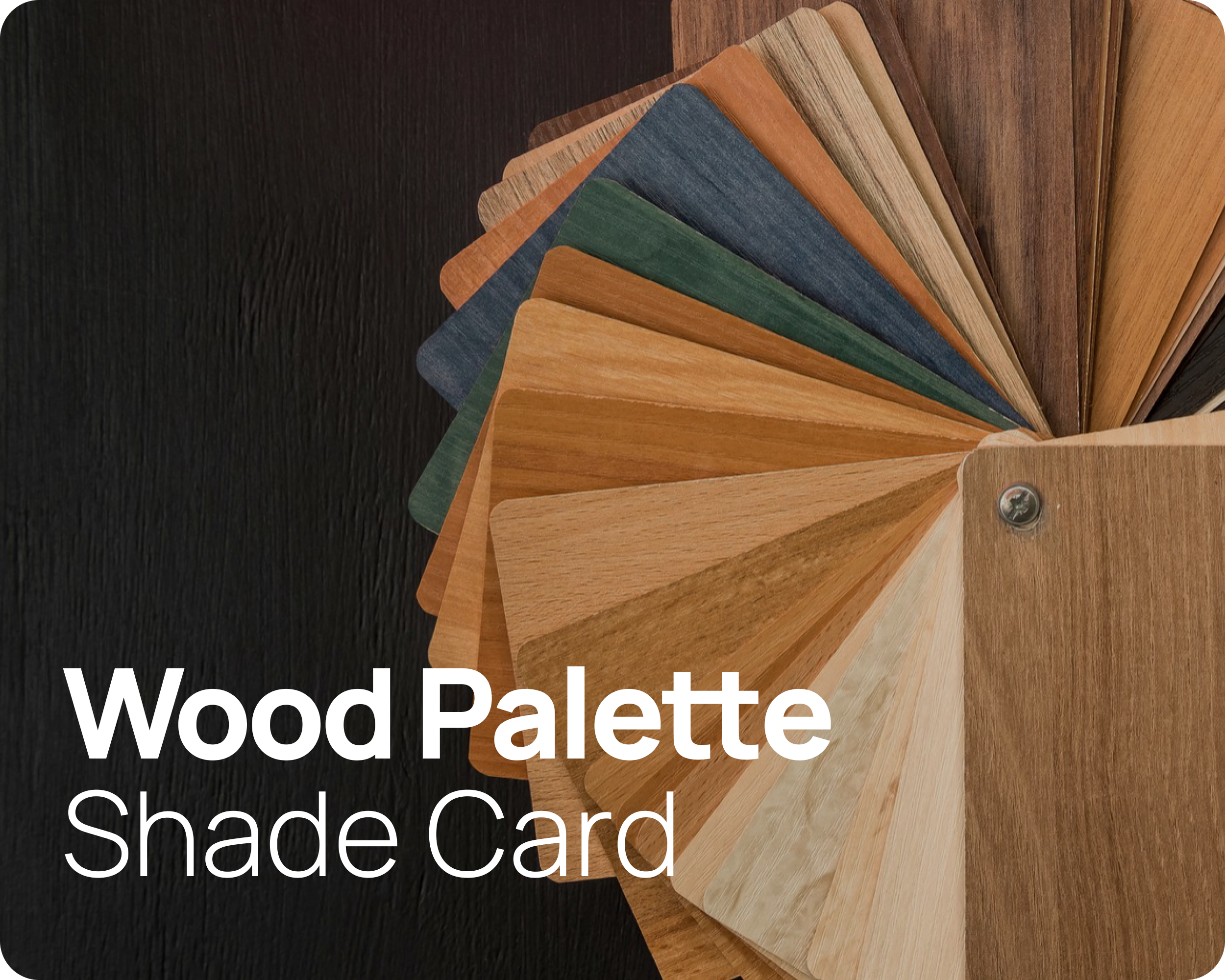 Wood palette shade card